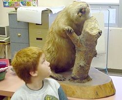 Elementary Activities