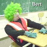 Bert