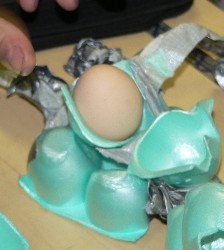 That's what egg cartons are for!
