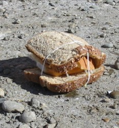 Apparently the bread was stale.