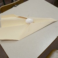 As long as it doesn't land upside down ...