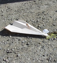 Obviously seat belts were needed!