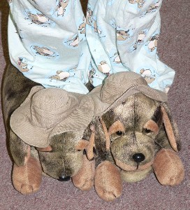 These are Emily's slippers