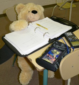 A confident math student