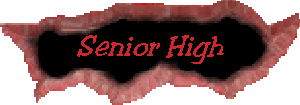 Senior High