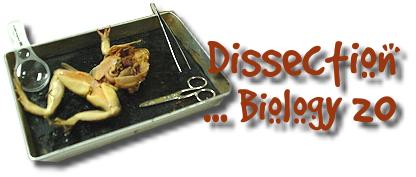 Dissection ... Biology 20